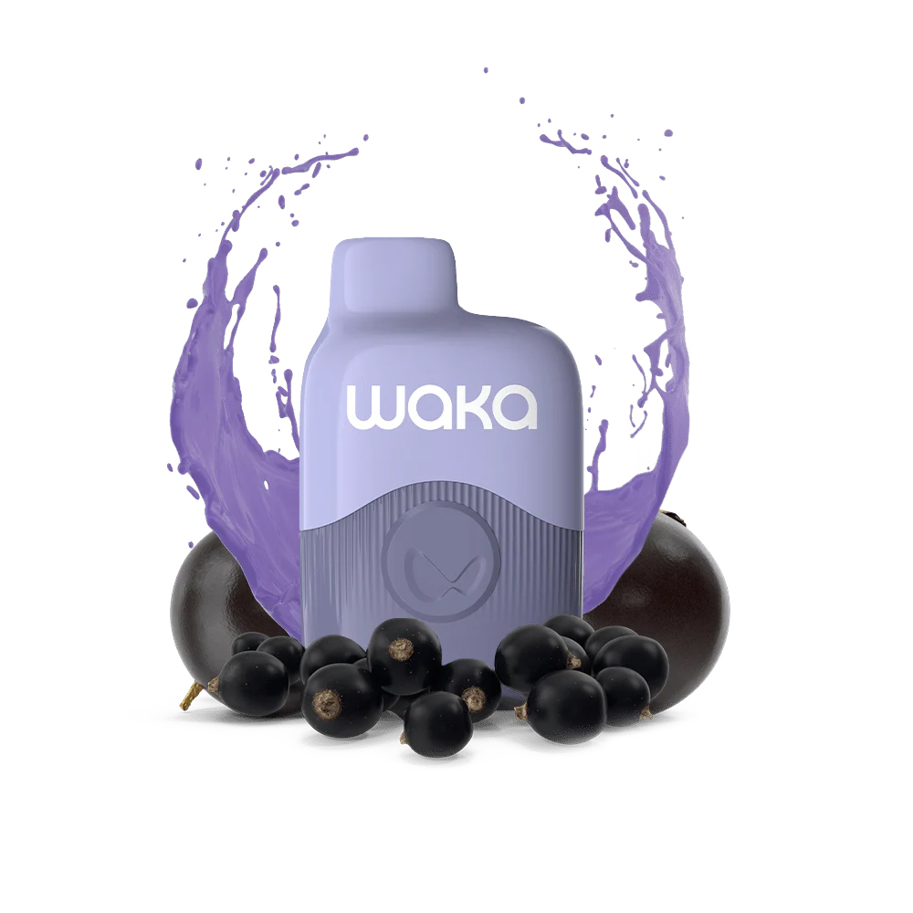 Waka soPro Blackcurrant Mint | Mora Menta